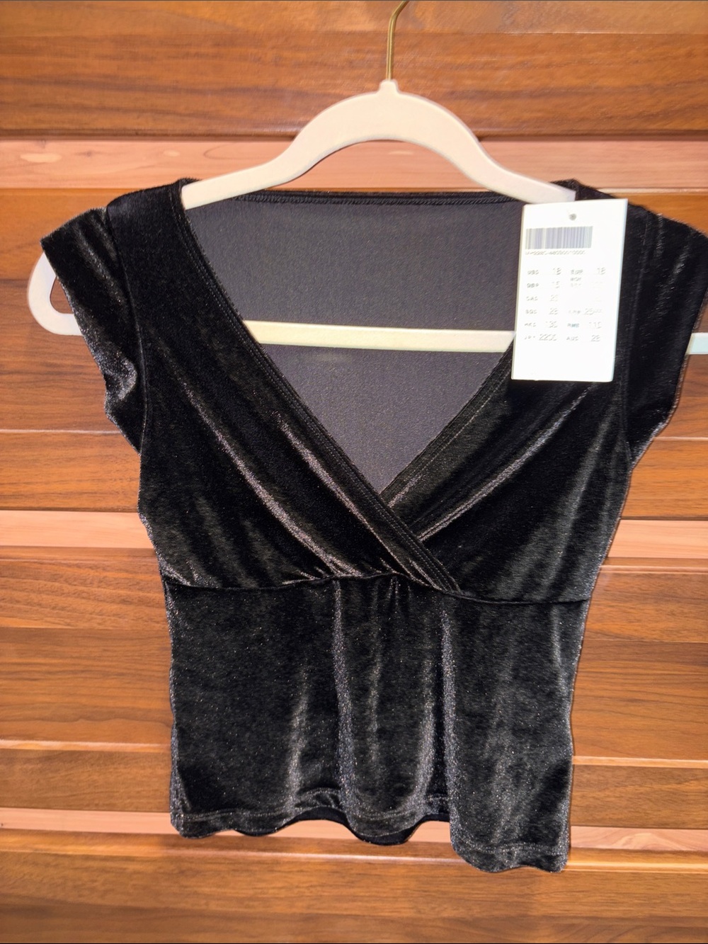 Brandy Melville NWT Black Velvet Cropped Top
